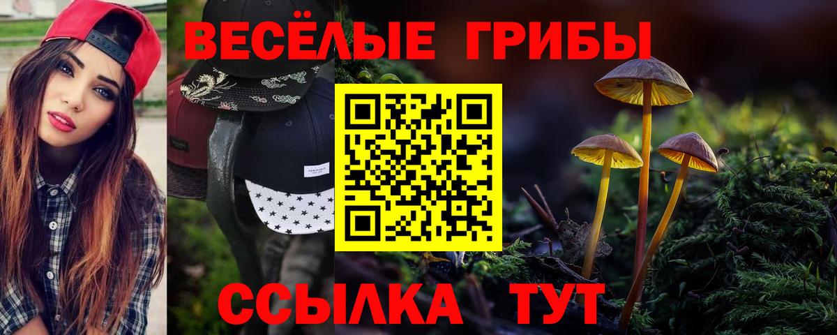 где купить наркотик  Галлюциногенные грибы мицелий  Вход с VPN  Камышин 